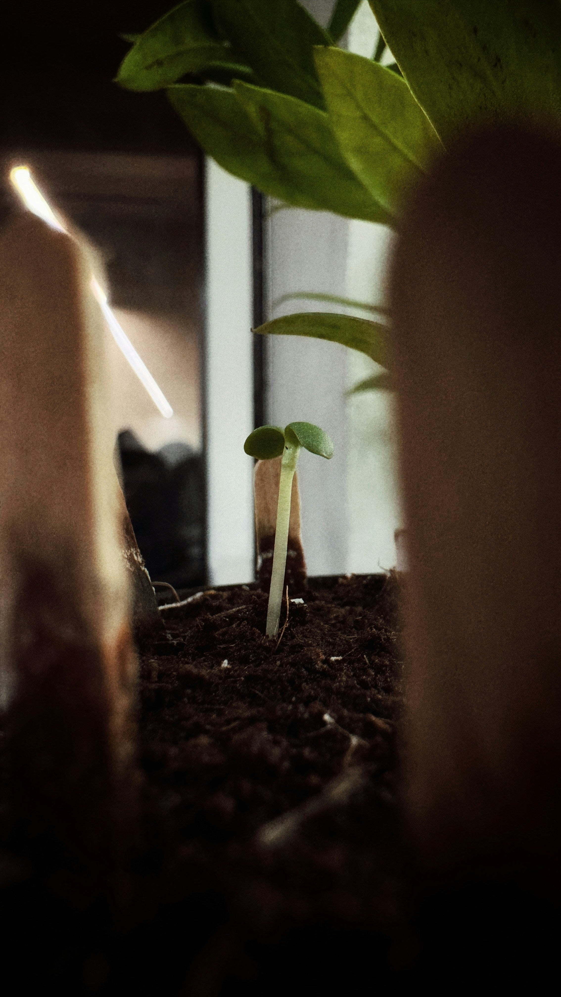 Understanding Air Humidity