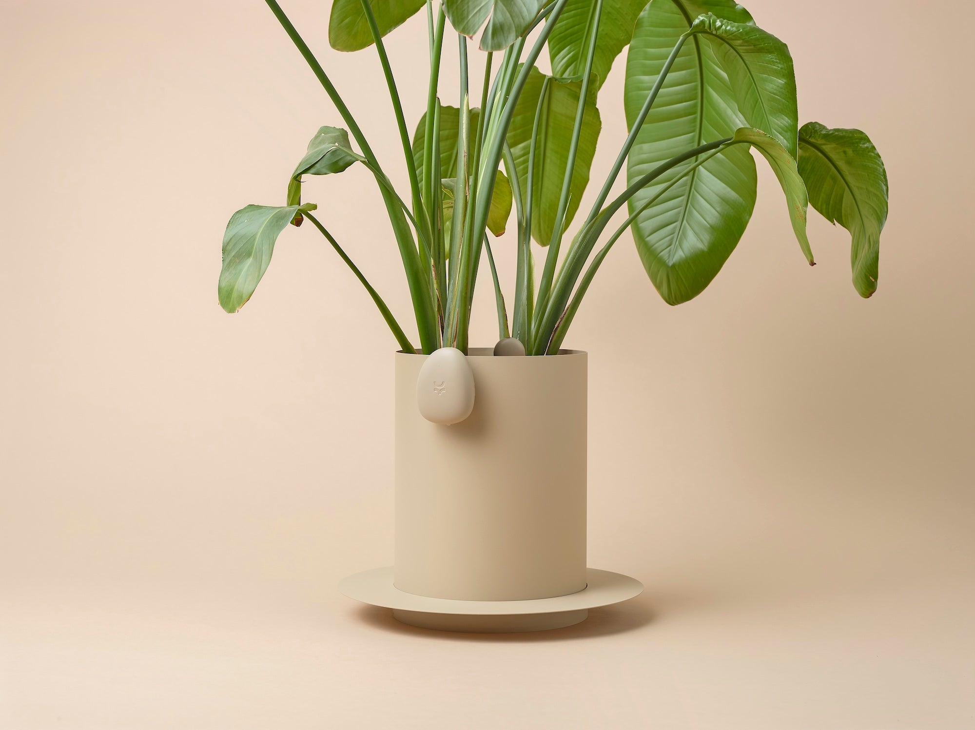 追加あり okoさん専用 Shop OKO — Smarter Plant Care Starts Here